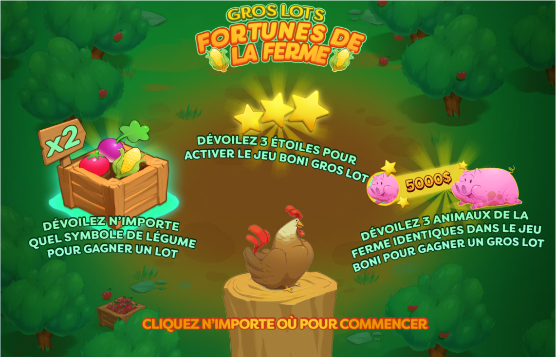 Gros lots fortune de la ferme carousel image 0